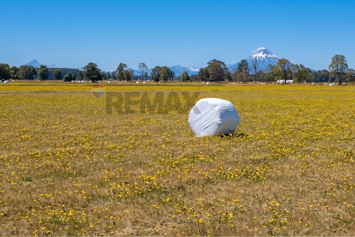 Terreno en venta en Puerto Octay — foto 6