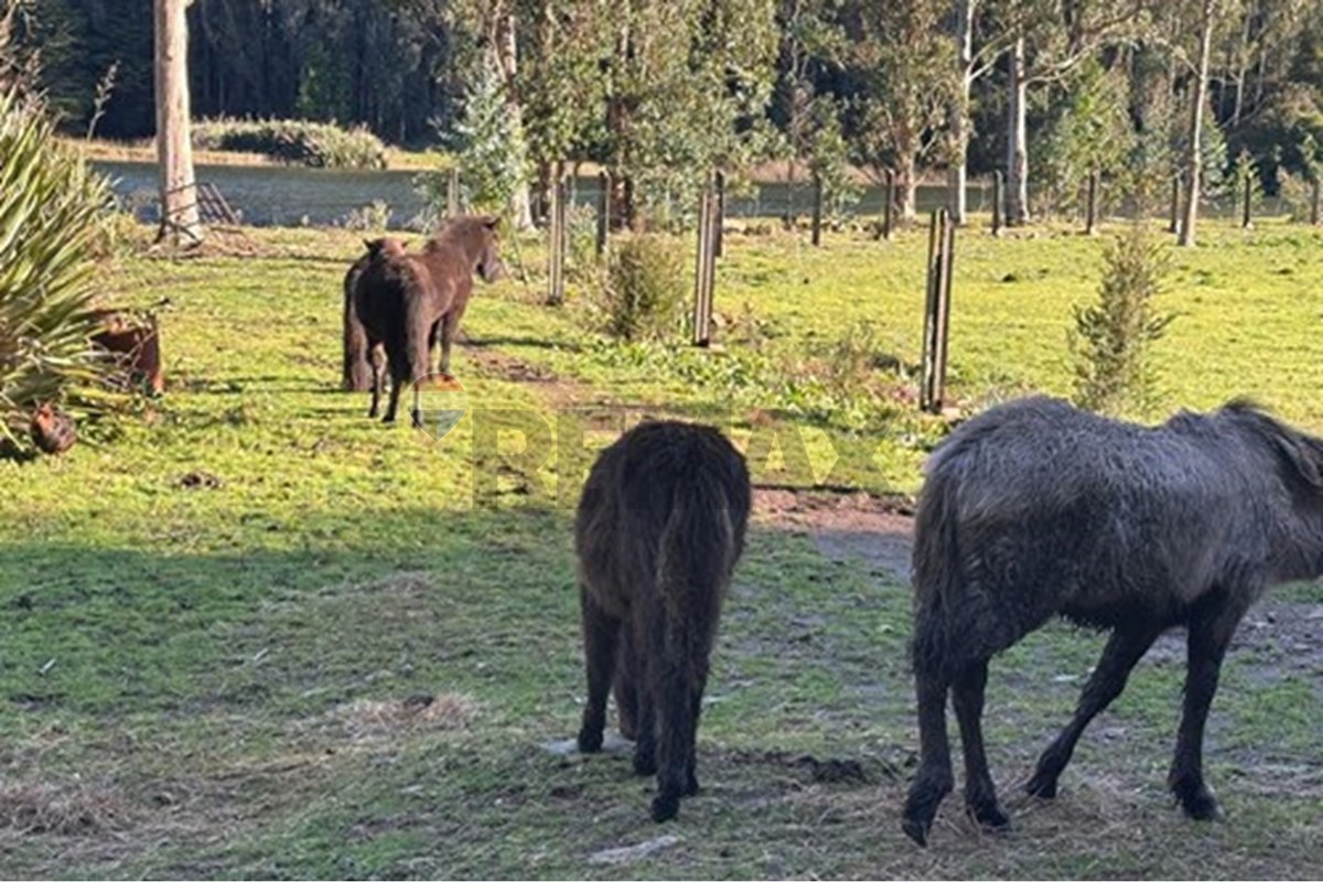 Terreno en venta en Valdivia — foto 2