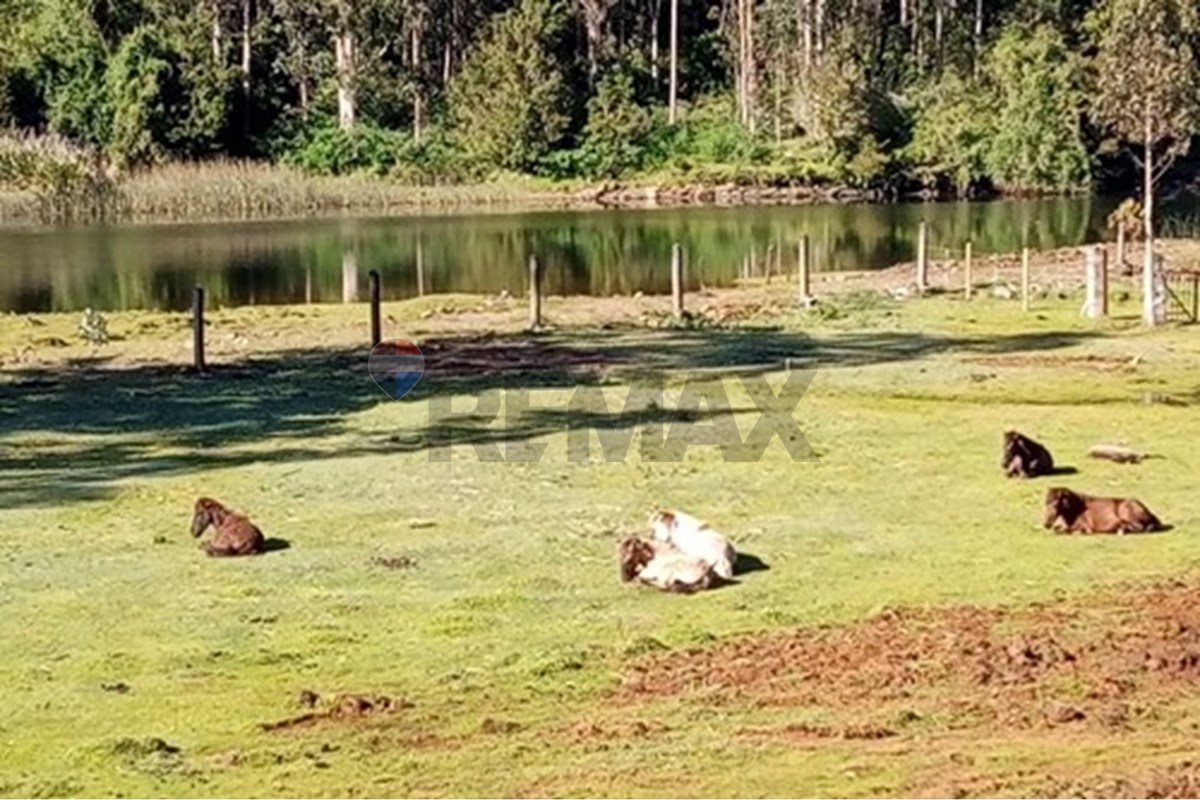 Terreno en venta en Valdivia — foto 8