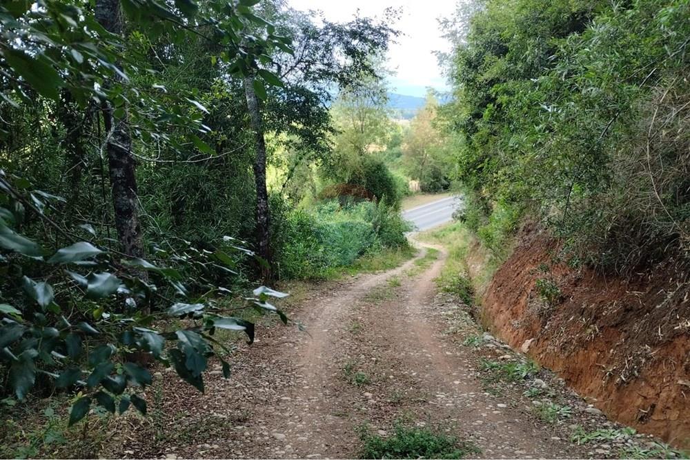 Parcela en venta en Paillaco — foto 2