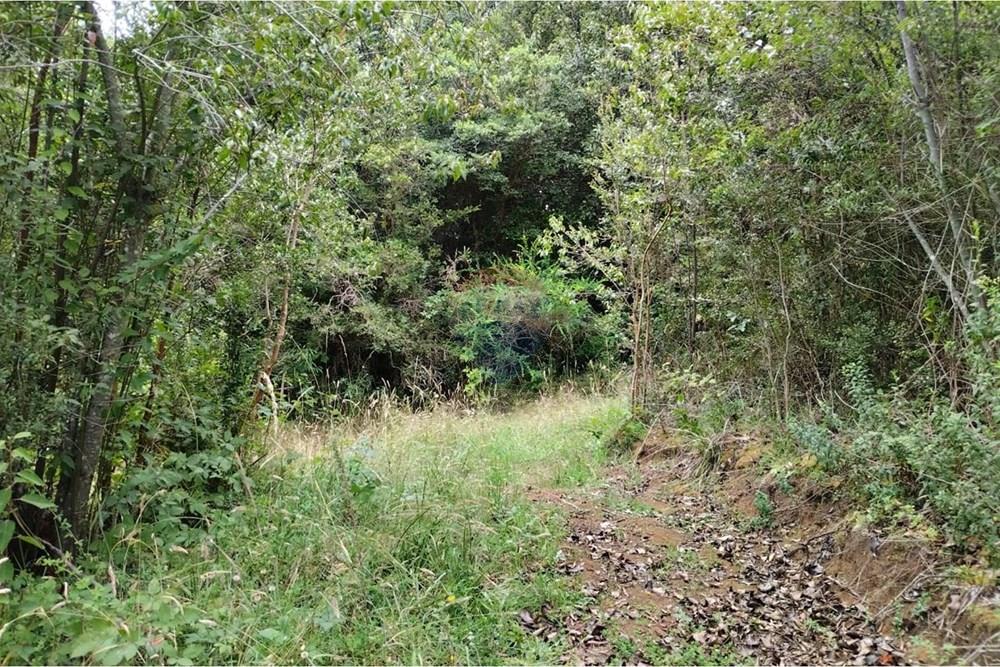 Parcela en venta en Paillaco — foto 4