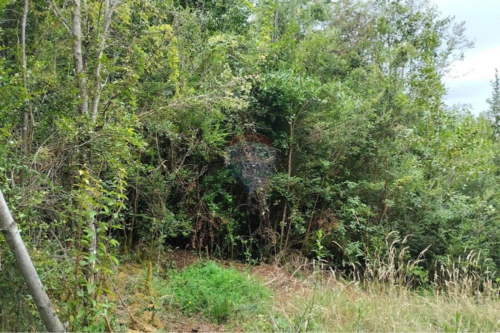 Parcela en venta en Paillaco — foto 5