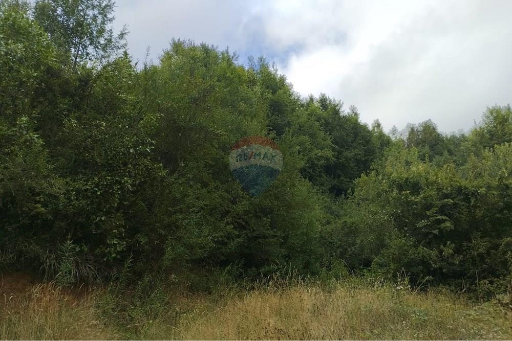 Parcela en venta en Paillaco — foto 7