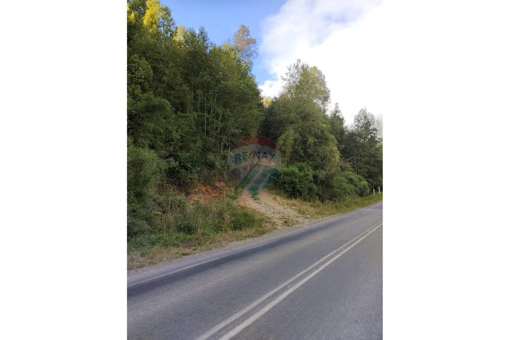 Parcela en venta en Paillaco — foto 8