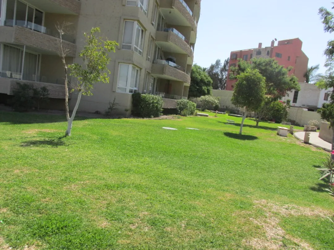 Departamento en arriendo en Arica — foto 4