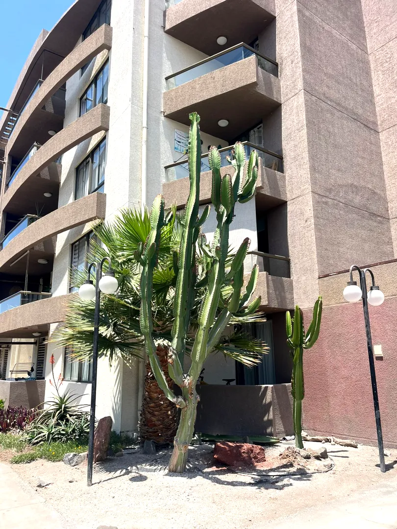 Departamento en venta en Arica — foto 1