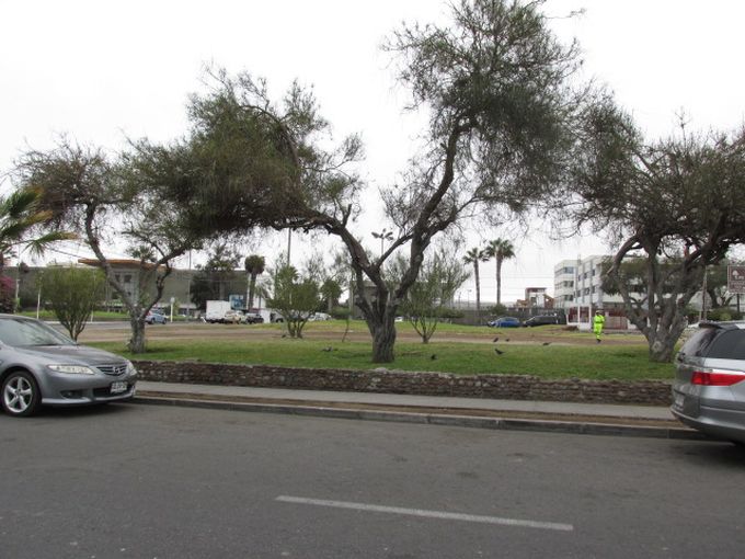 Oficina en venta en Arica — foto 1