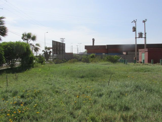 Terreno en arriendo en Arica — foto 1