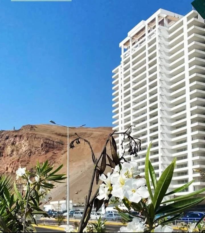 Departamento en arriendo en Arica — foto 1