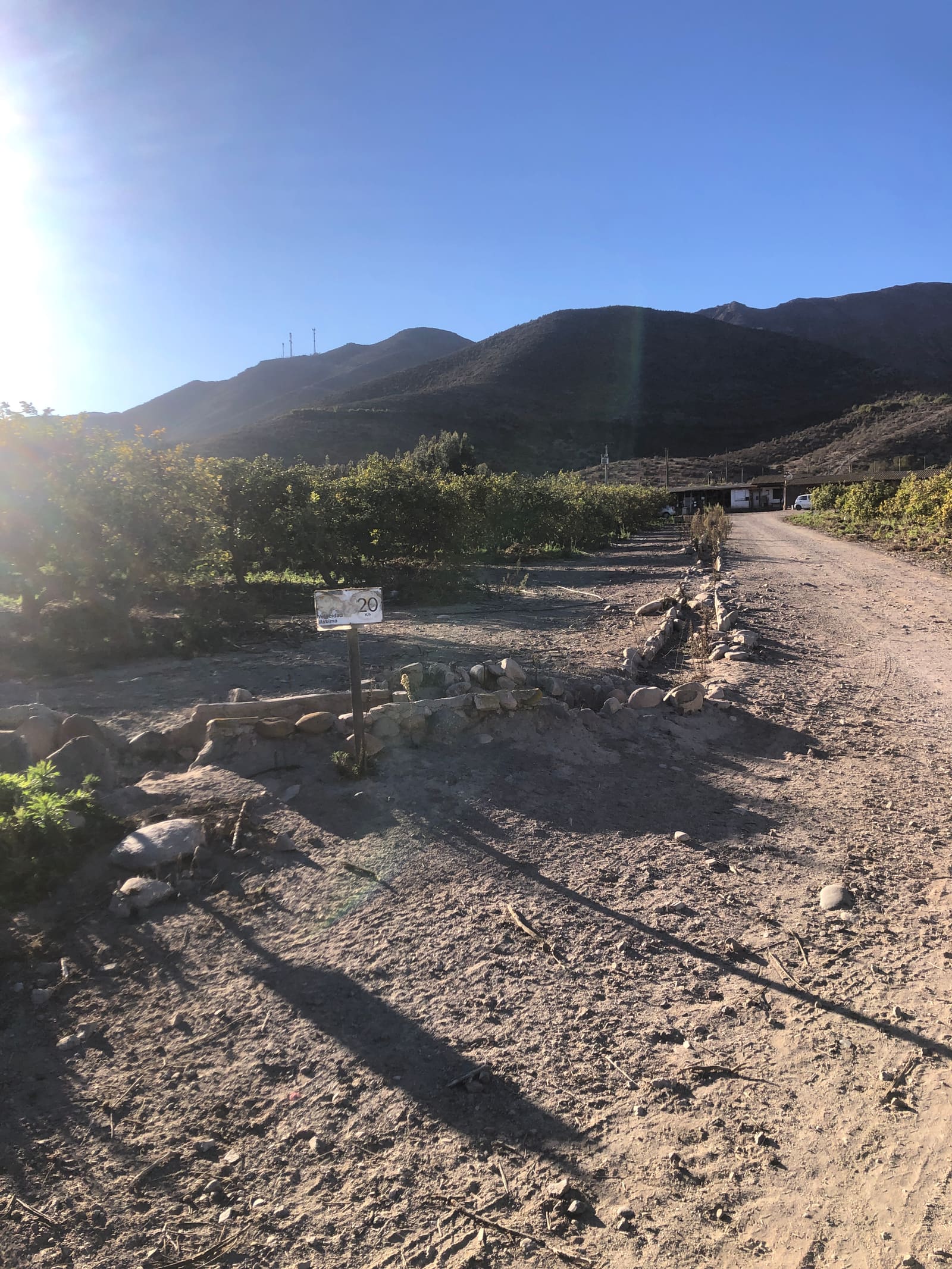 Parcela en venta en Vicuña — foto 10