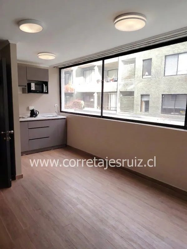 Departamento en arriendo en Providencia — foto 7