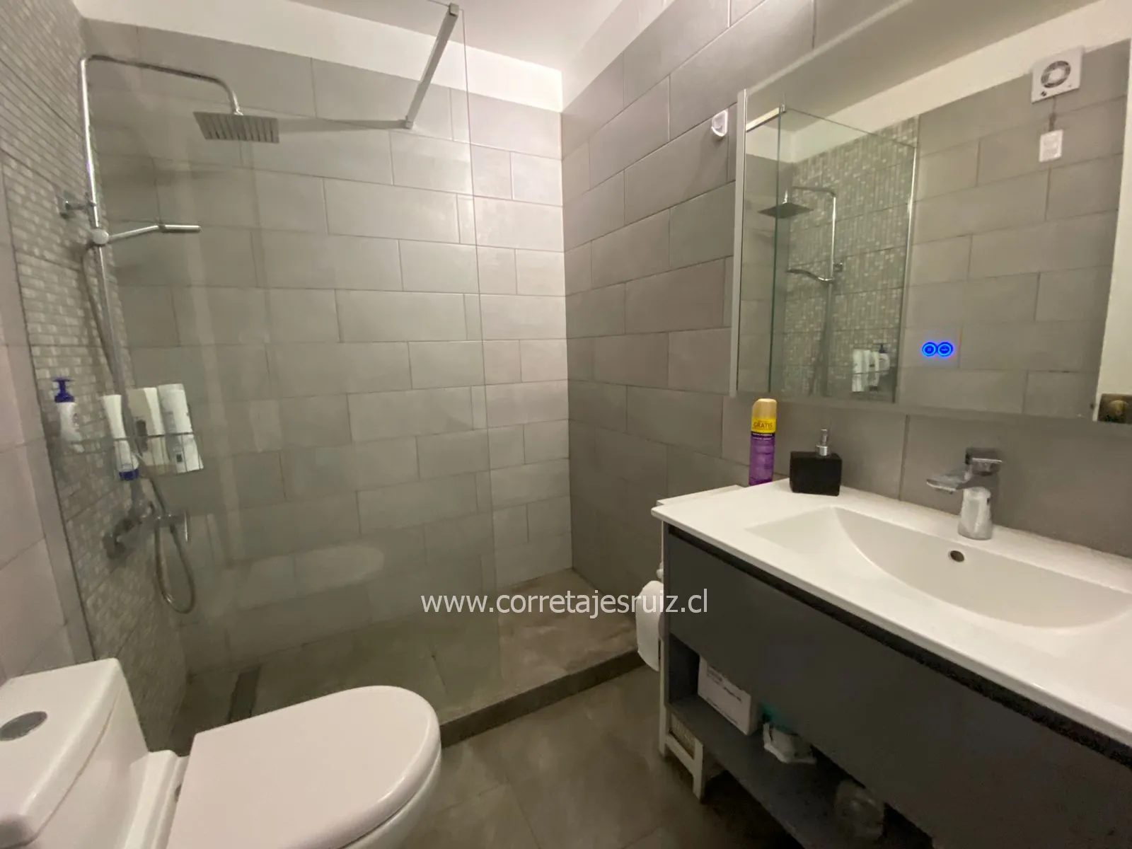 Departamento en venta en Providencia — foto 7