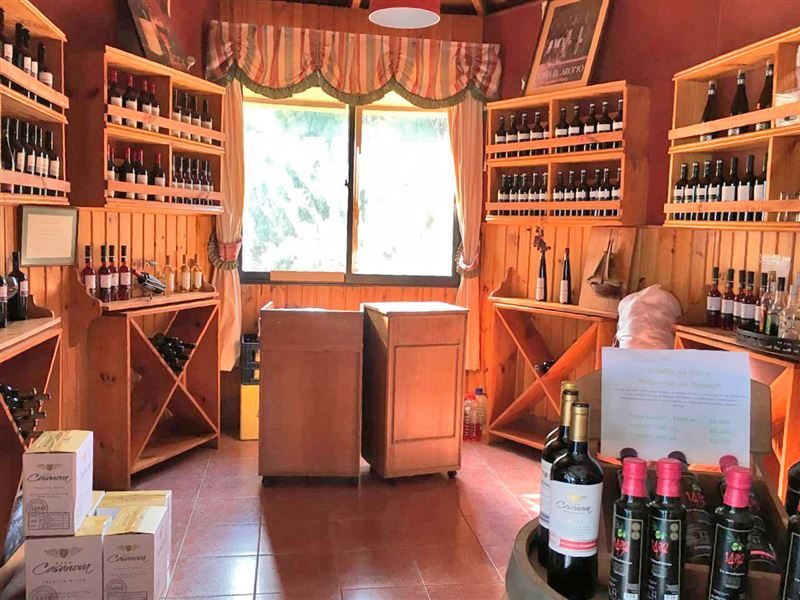 Local comercial en venta en Maule — foto 7