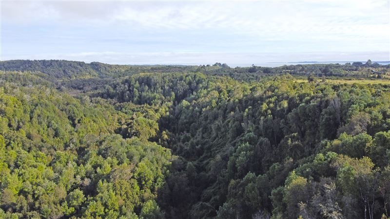 Parcela en venta en Ancud — foto 7