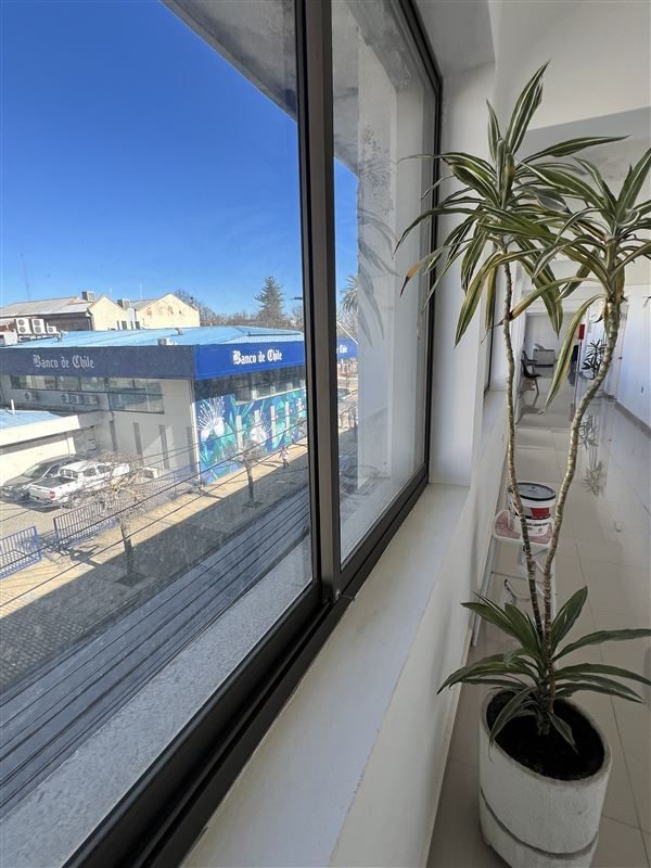 Oficina en arriendo en Los Ángeles — foto 3