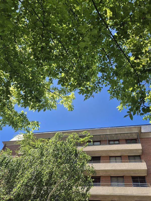 Departamento en venta en Los Ángeles — foto 5