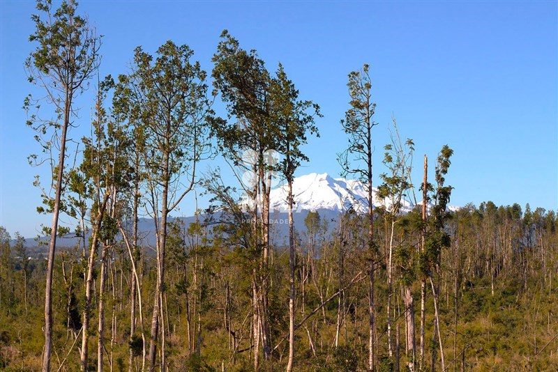 Parcela en venta en Puerto Montt — foto 9