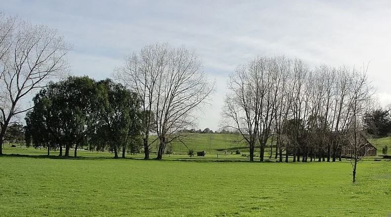 Parcela en venta en Puerto Varas — foto 2