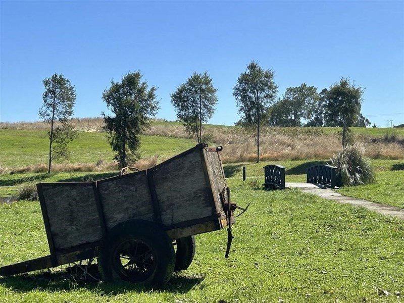 Parcela en venta en Puerto Varas — foto 7