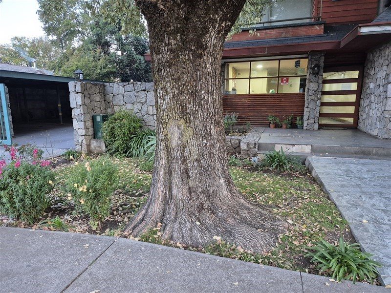 Departamento en arriendo en Los Ángeles — foto 9