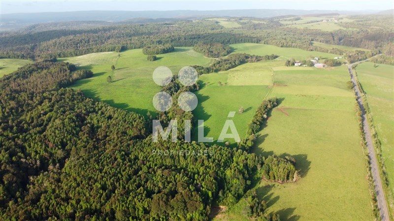 Terreno en venta en Los Muermos — foto 2