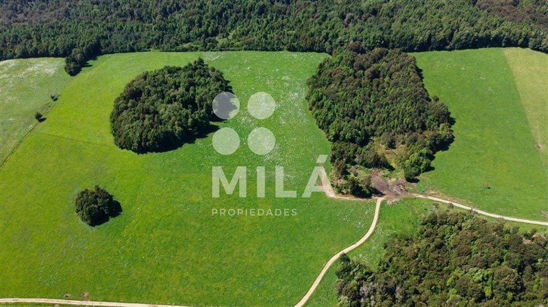 Terreno en venta en Los Muermos — foto 3