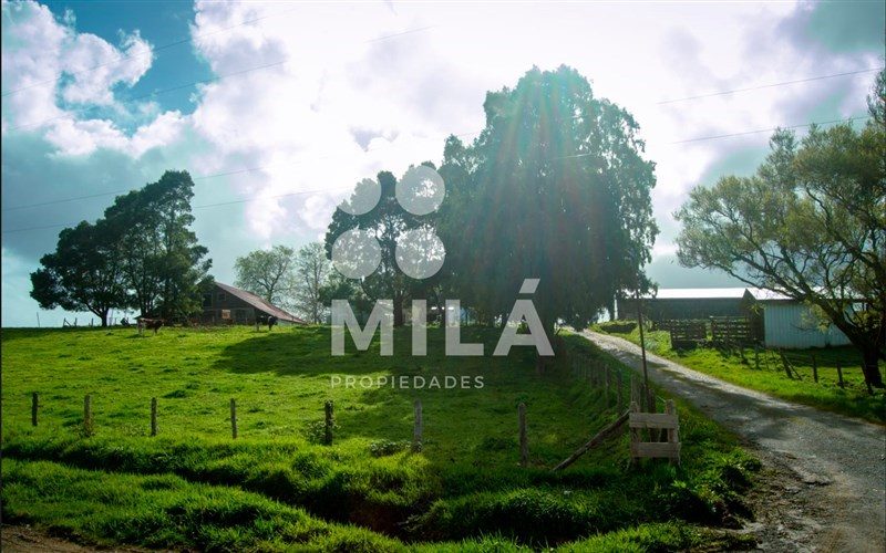Terreno en venta en Los Muermos — foto 6