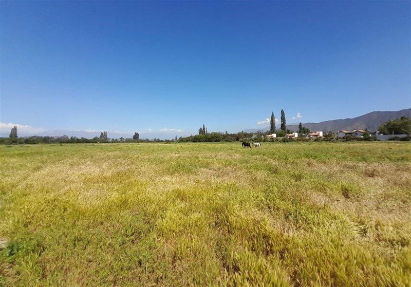 Terreno en venta en Isla de Maipo — foto 3