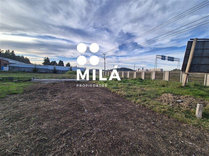 Bodega en arriendo en Los Ángeles — foto 4