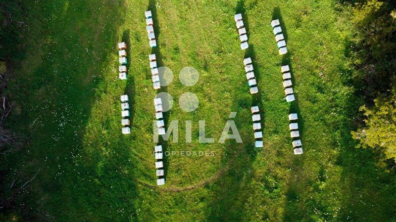 Parcela en venta en Los Muermos — foto 7