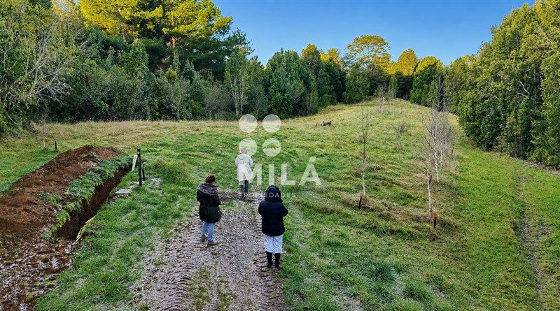 Parcela en venta en Fresia — foto 2