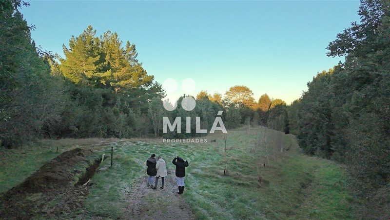 Parcela en venta en Fresia — foto 4