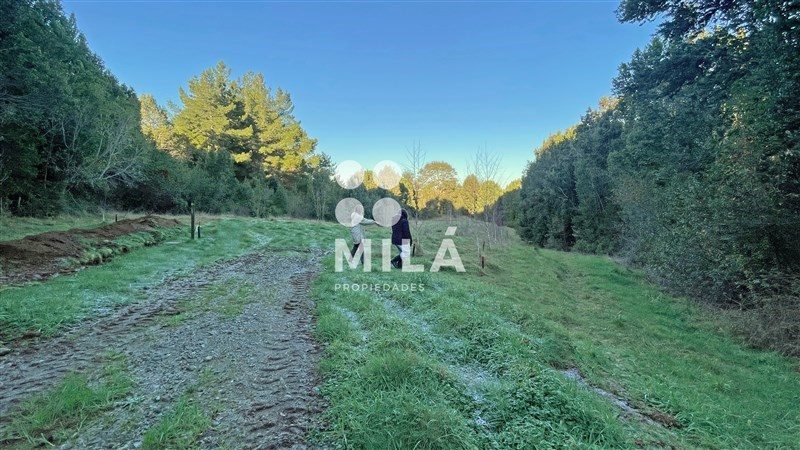 Parcela en venta en Fresia — foto 5