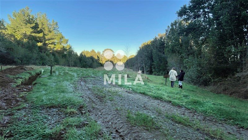 Parcela en venta en Fresia — foto 6