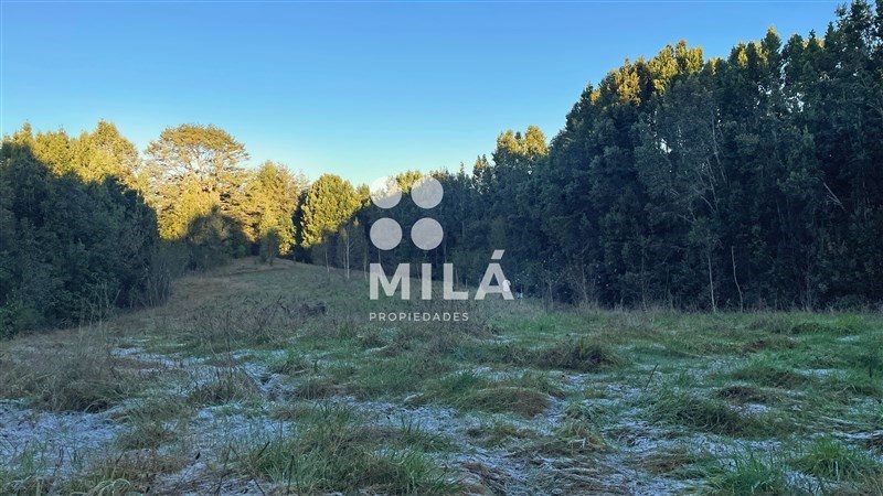 Parcela en venta en Fresia — foto 7