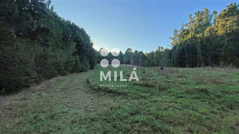 Parcela en venta en Fresia — foto 8