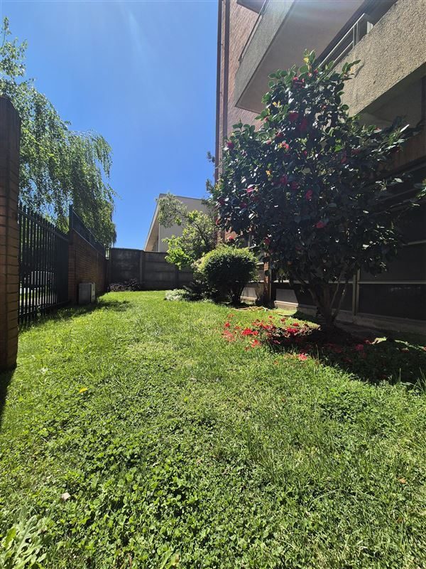 Departamento en arriendo en Los Ángeles — foto 3
