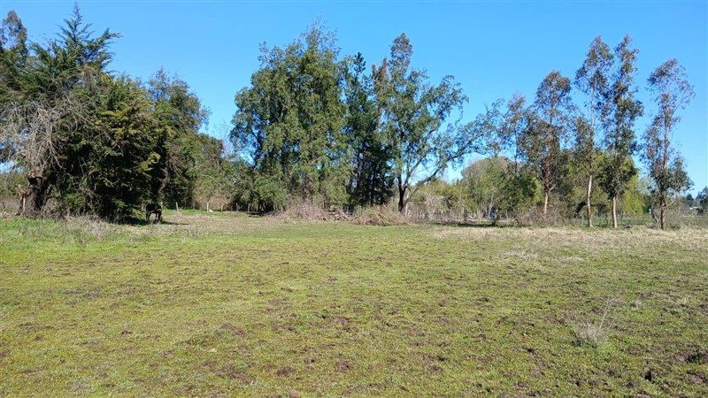 Terreno en venta en Los Ángeles — foto 1