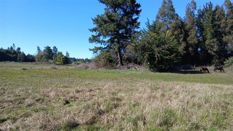 Terreno en venta en Los Ángeles — foto 5