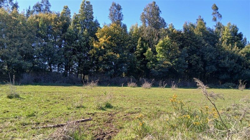 Terreno en venta en Los Ángeles — foto 6