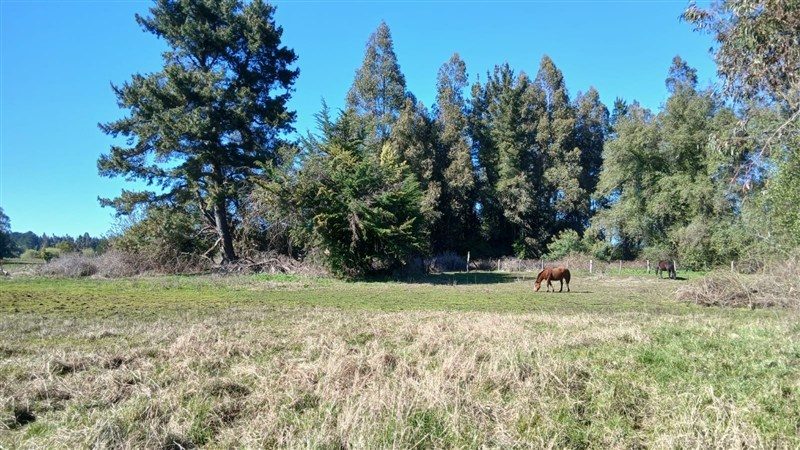 Terreno en venta en Los Ángeles — foto 7