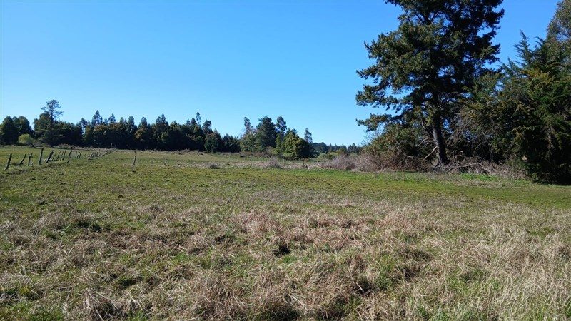 Terreno en venta en Los Ángeles — foto 9