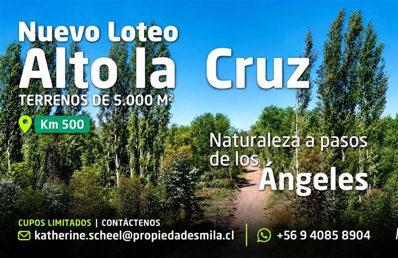 Terreno en venta en Los Ángeles — foto 2