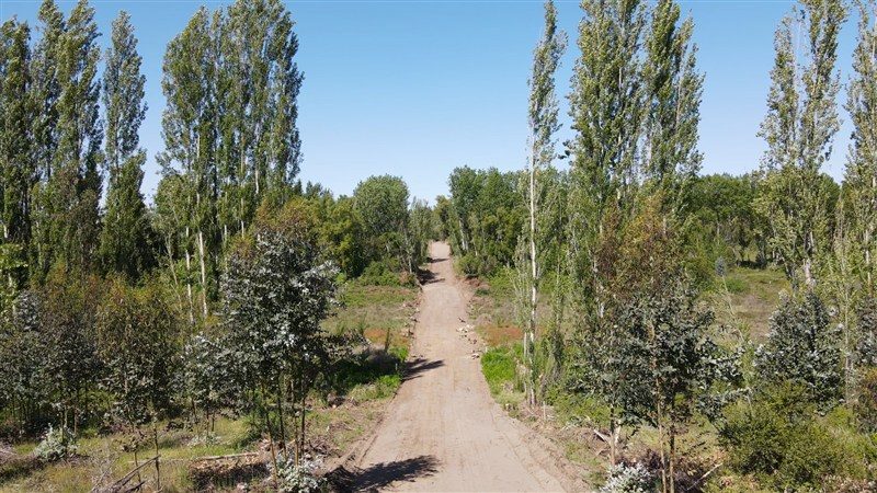 Terreno en venta en Los Ángeles — foto 4