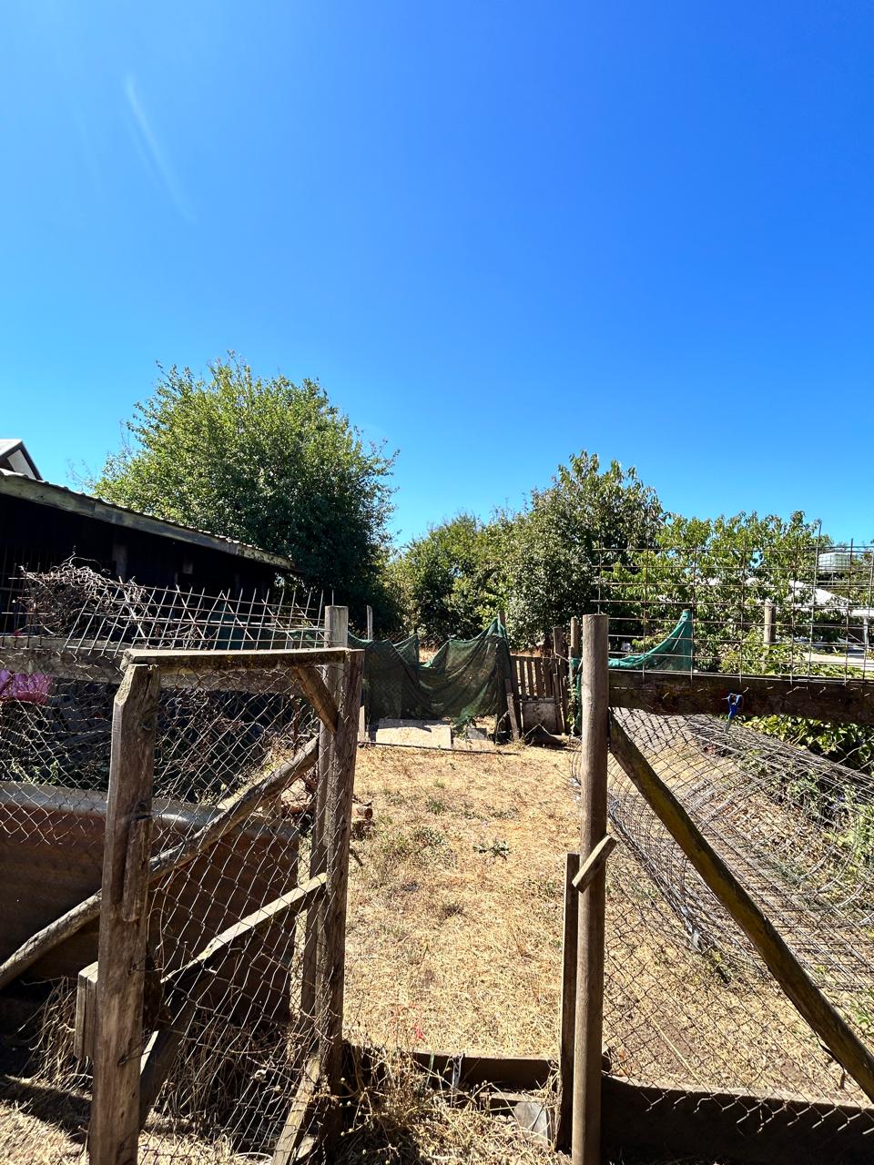 Terreno en venta en Lautaro — foto 2