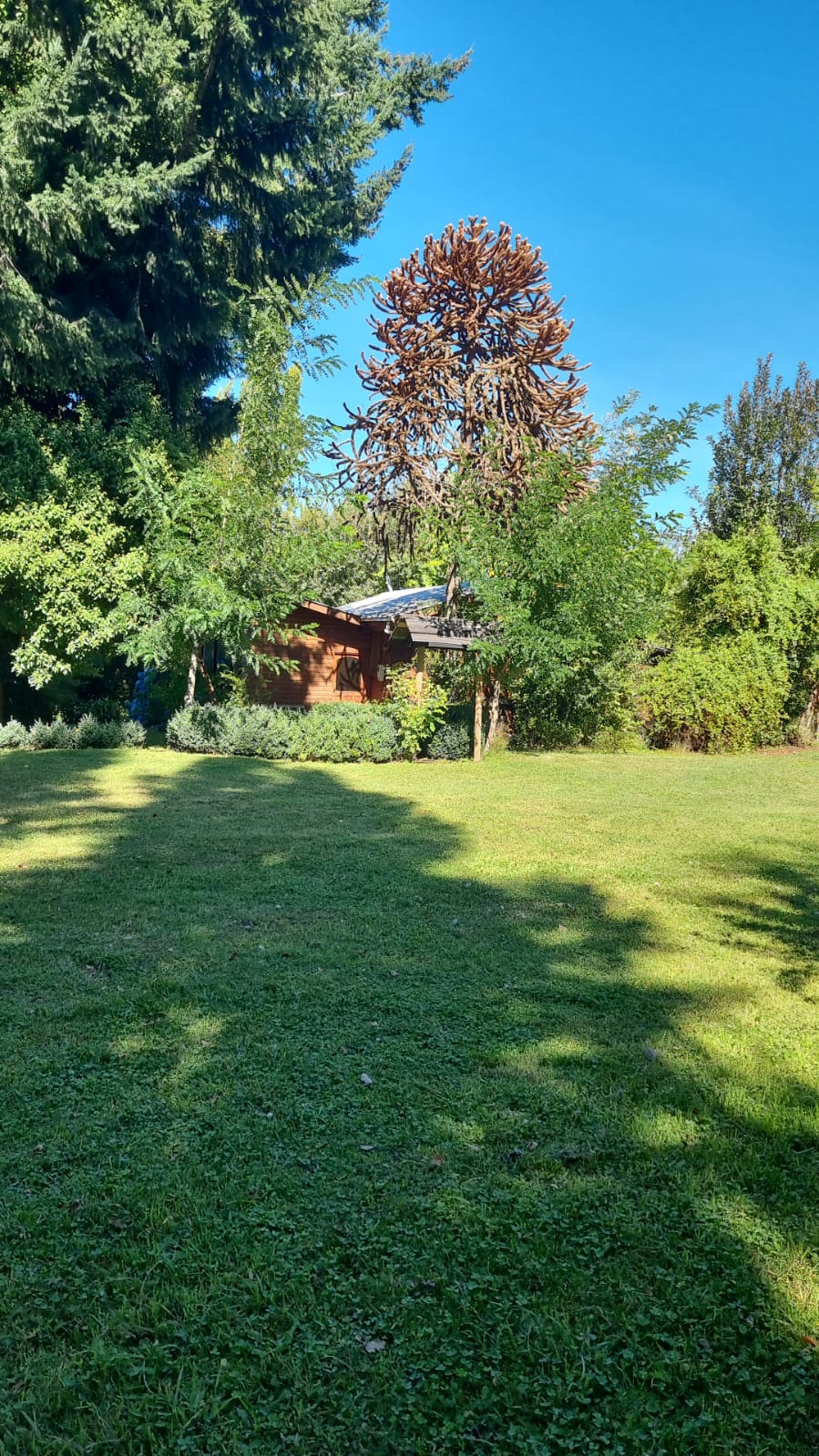 Parcela en venta en Vilcún — foto 8