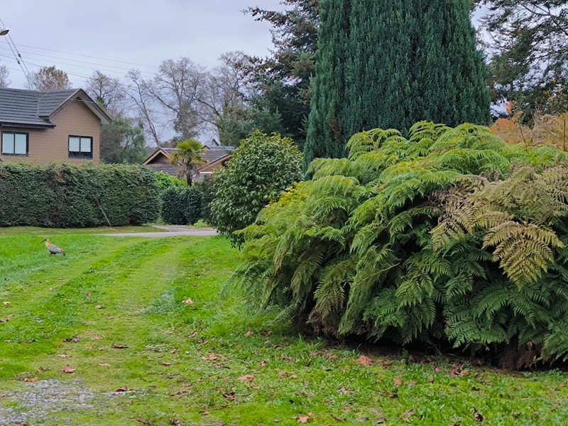 Casa en venta en Valdivia — foto 2