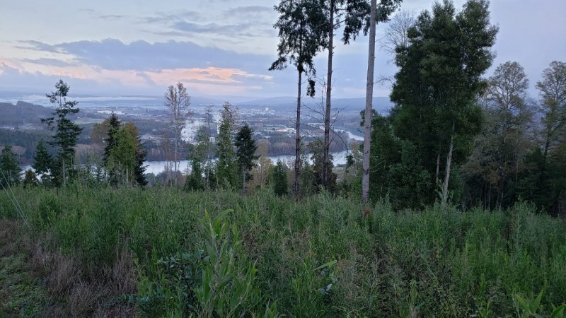 Parcela en venta en Valdivia — foto 1