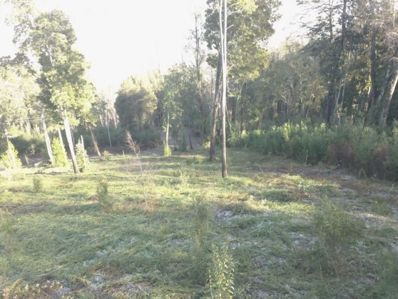 Parcela en venta en Valdivia — foto 7