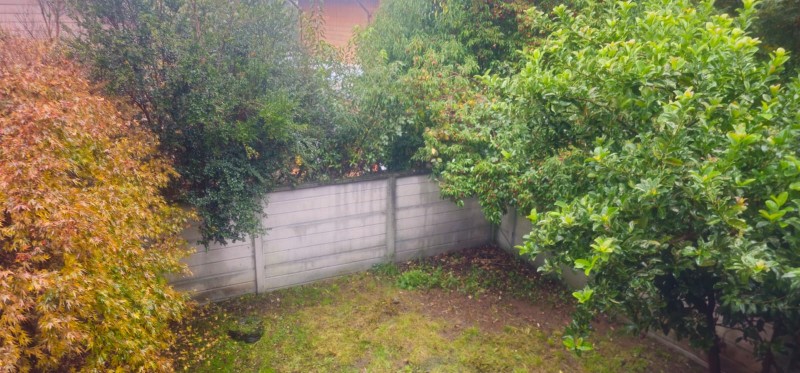 Casa en venta en Valdivia — foto 8